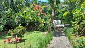 Un sendero en un jardín, rodeado de abundante follaje y diversas plantas.