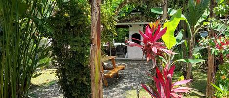 Un jardin avec un chemin de gravier, un banc en bois et diverses plantes tropicales.