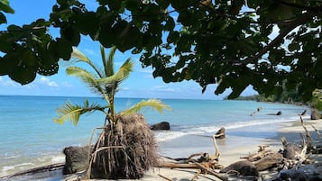Pantai