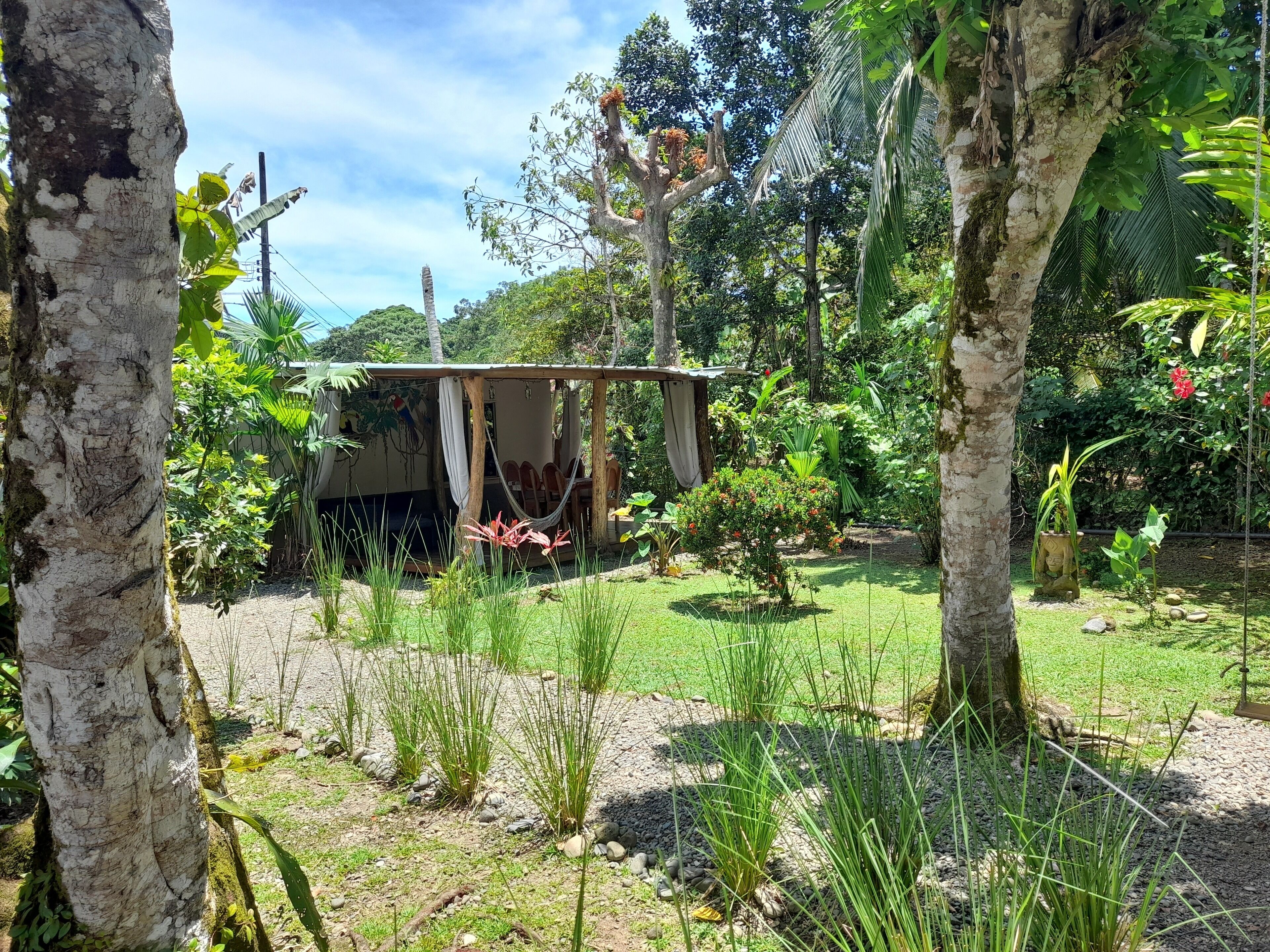 apartment, 2 bedrooms, kitchen, garden area | view from room