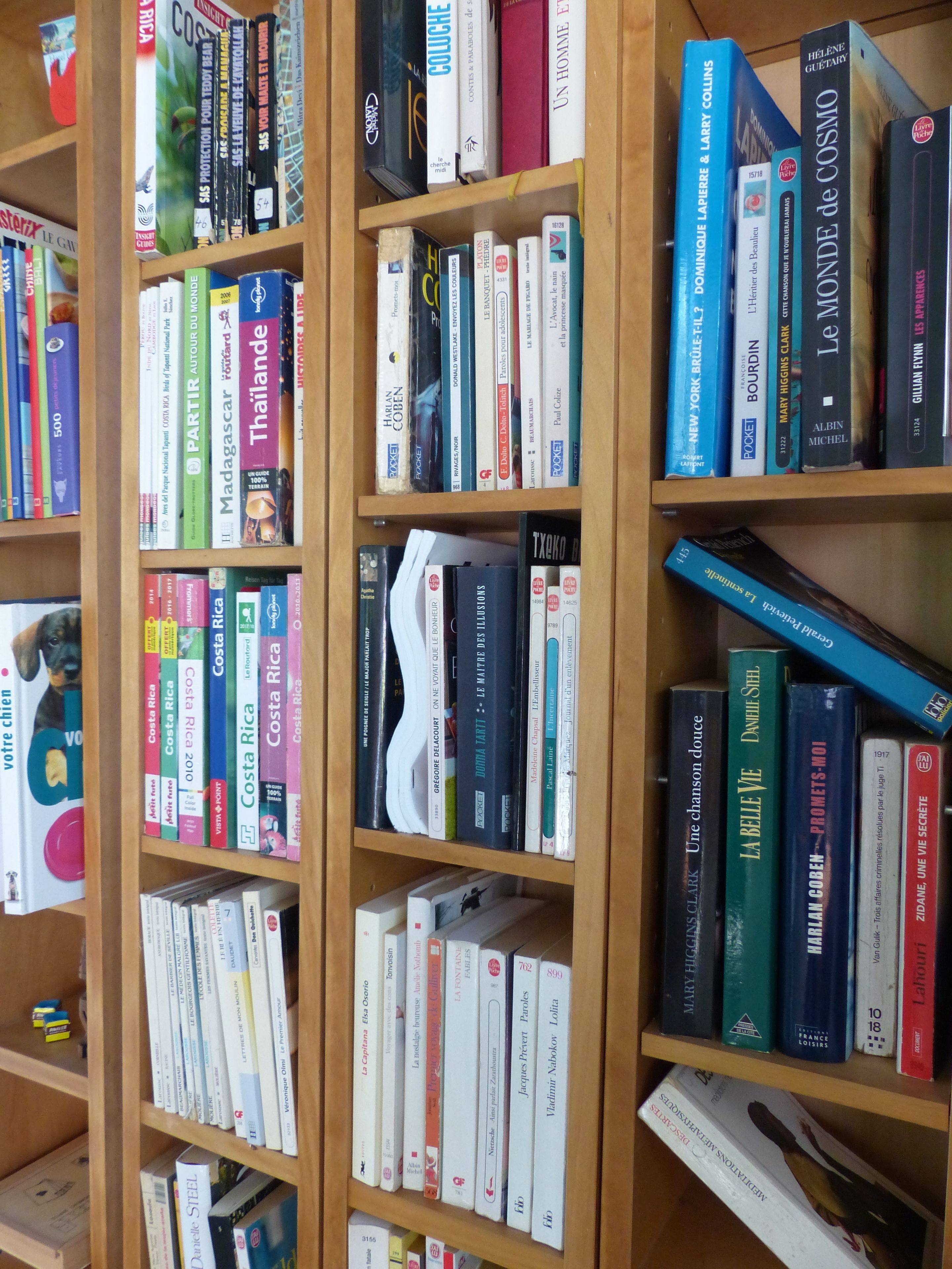 A bookshelf filled with various books, including travel guides and novels.