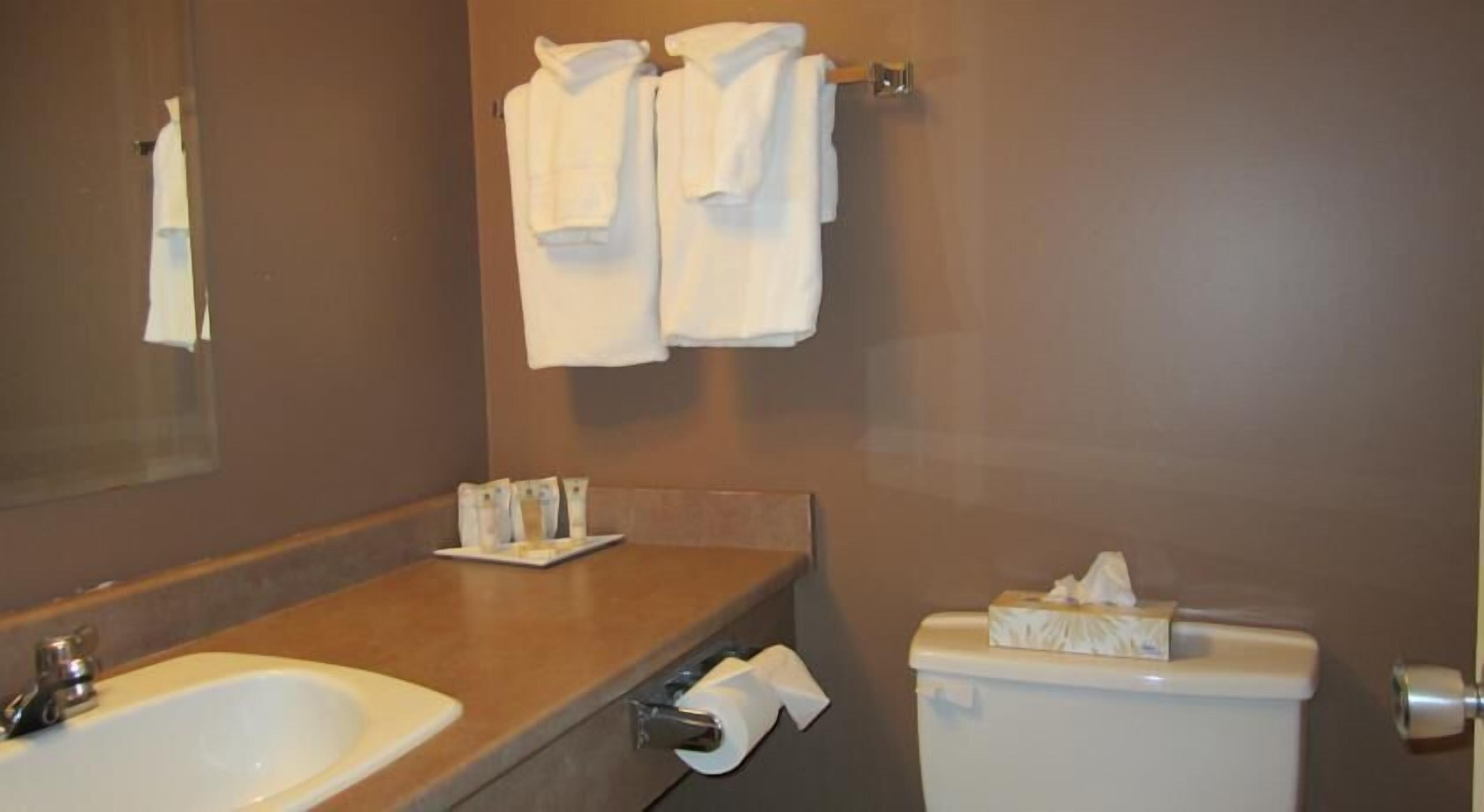 combined shower/bathtub, free toiletries, hair dryer, towels