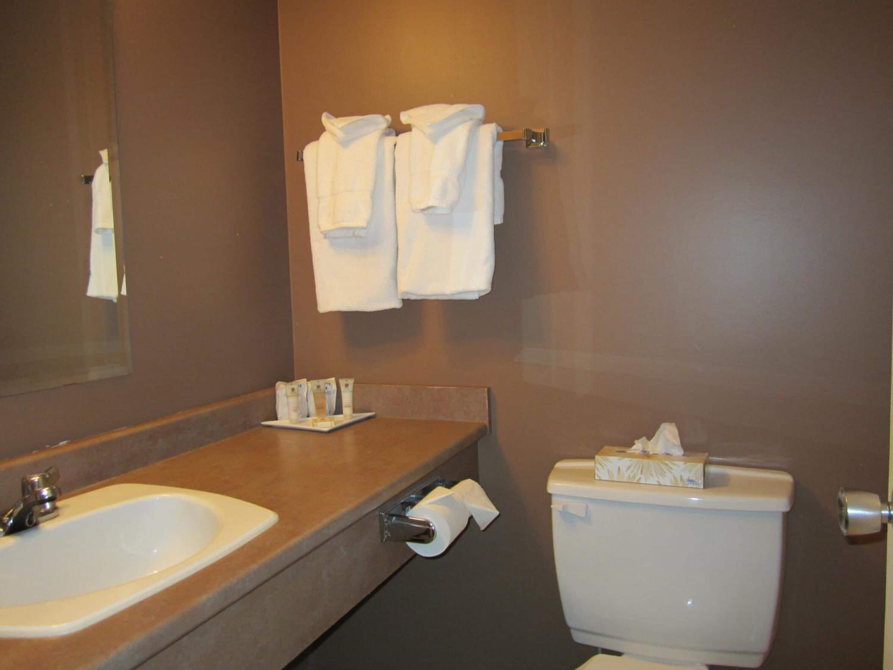 combined shower/bathtub, free toiletries, hair dryer, towels