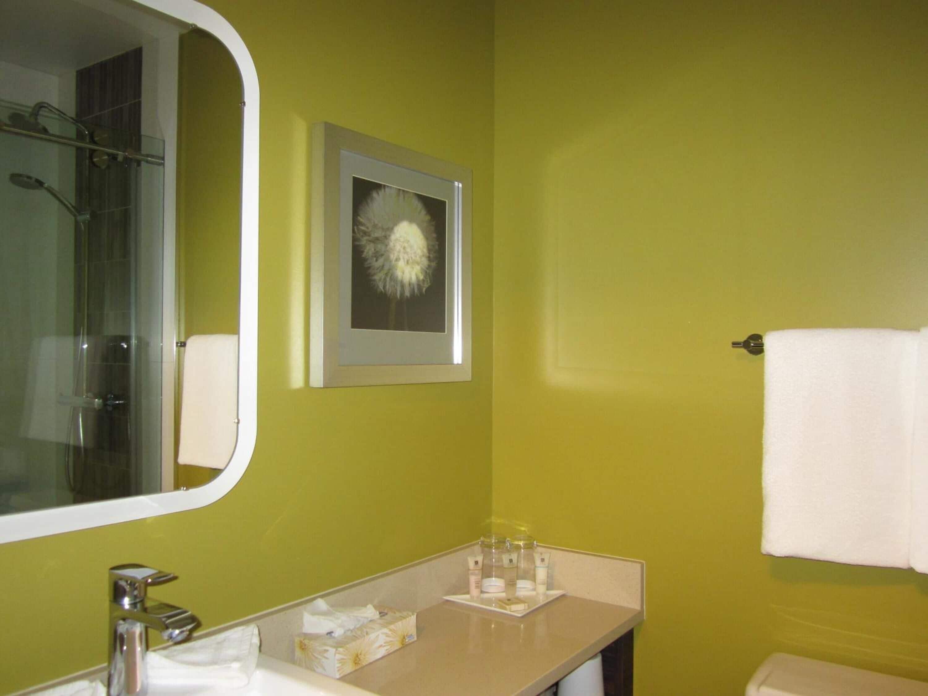 combined shower/bathtub, free toiletries, hair dryer, towels