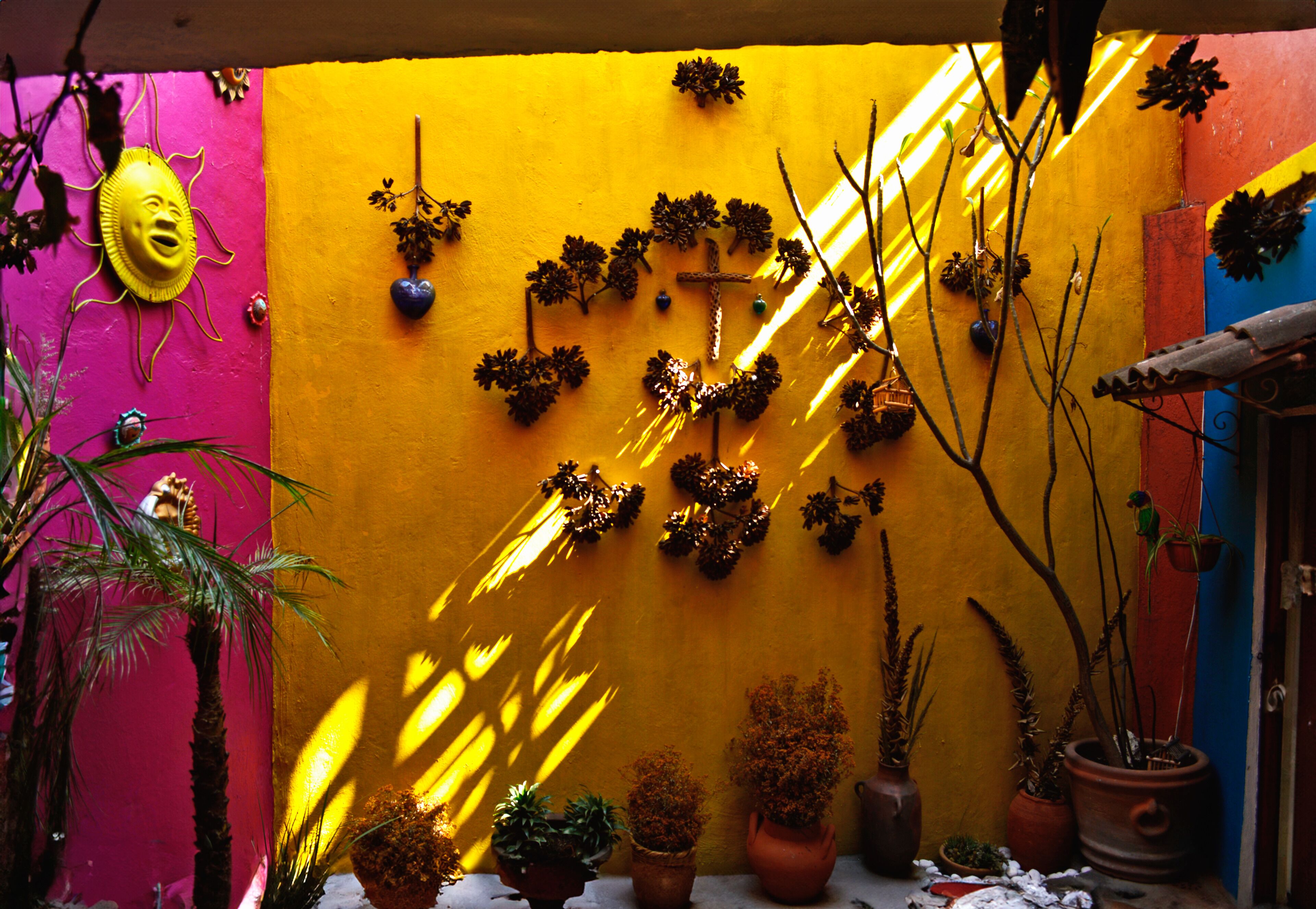 Une pièce lumineuse avec un mur jaune, diverses plantes en pot et une décoration en forme de croix.