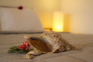 Room - Resort Relax Fiji (Nadi)