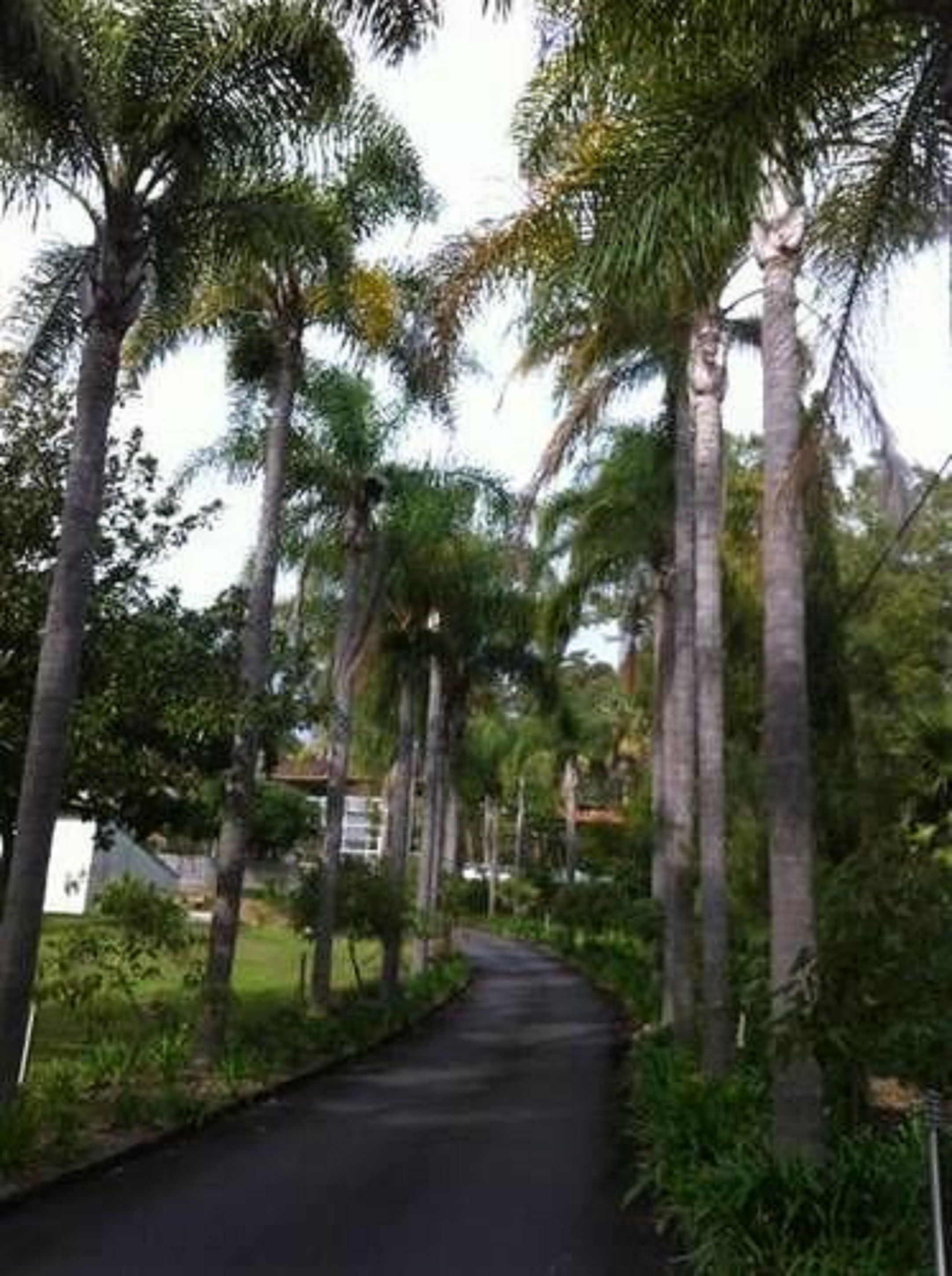 Foto - Gosford Inn Motel