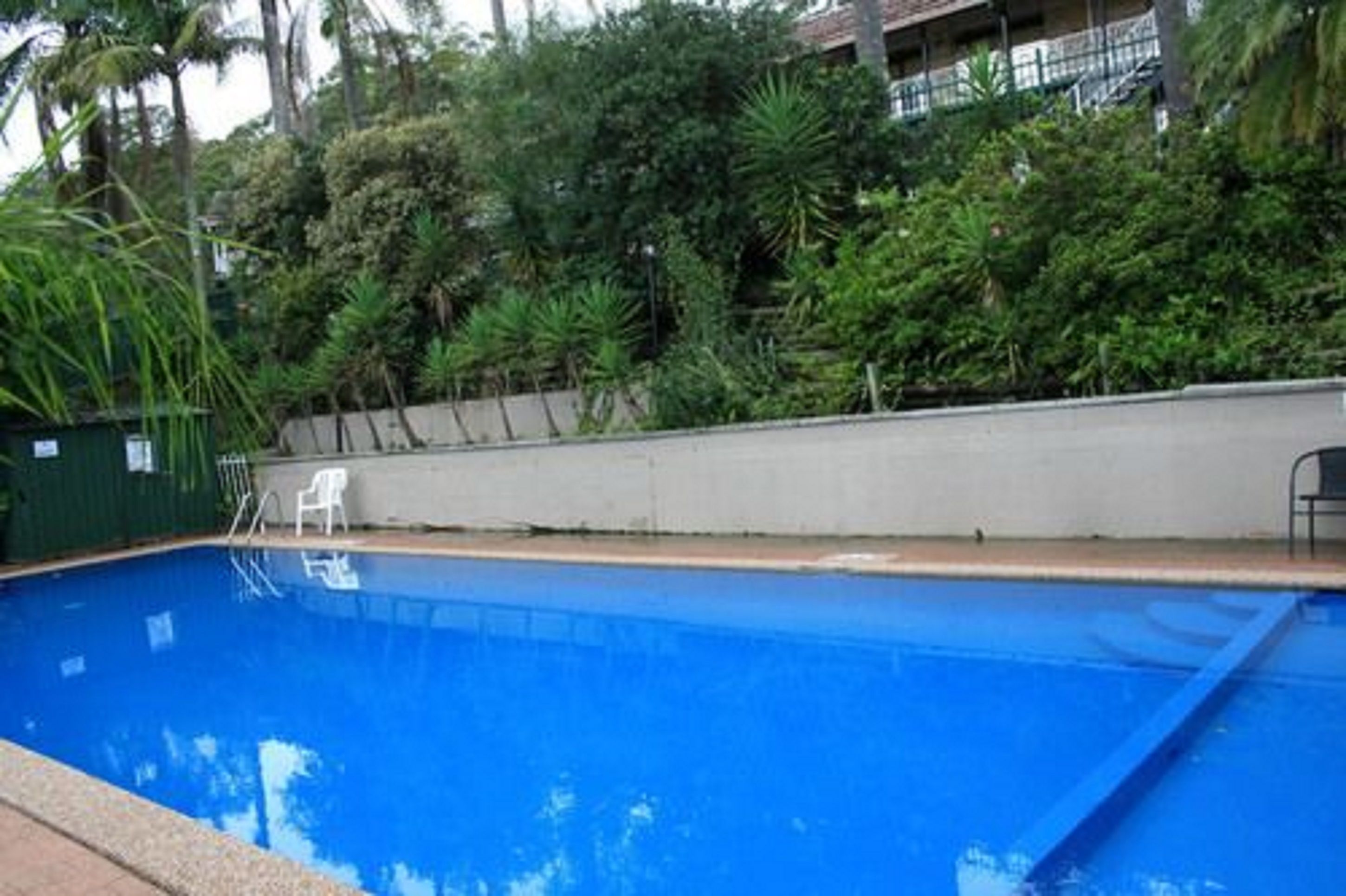 A swimming pool surrounded by lush greenery and a concrete wall.