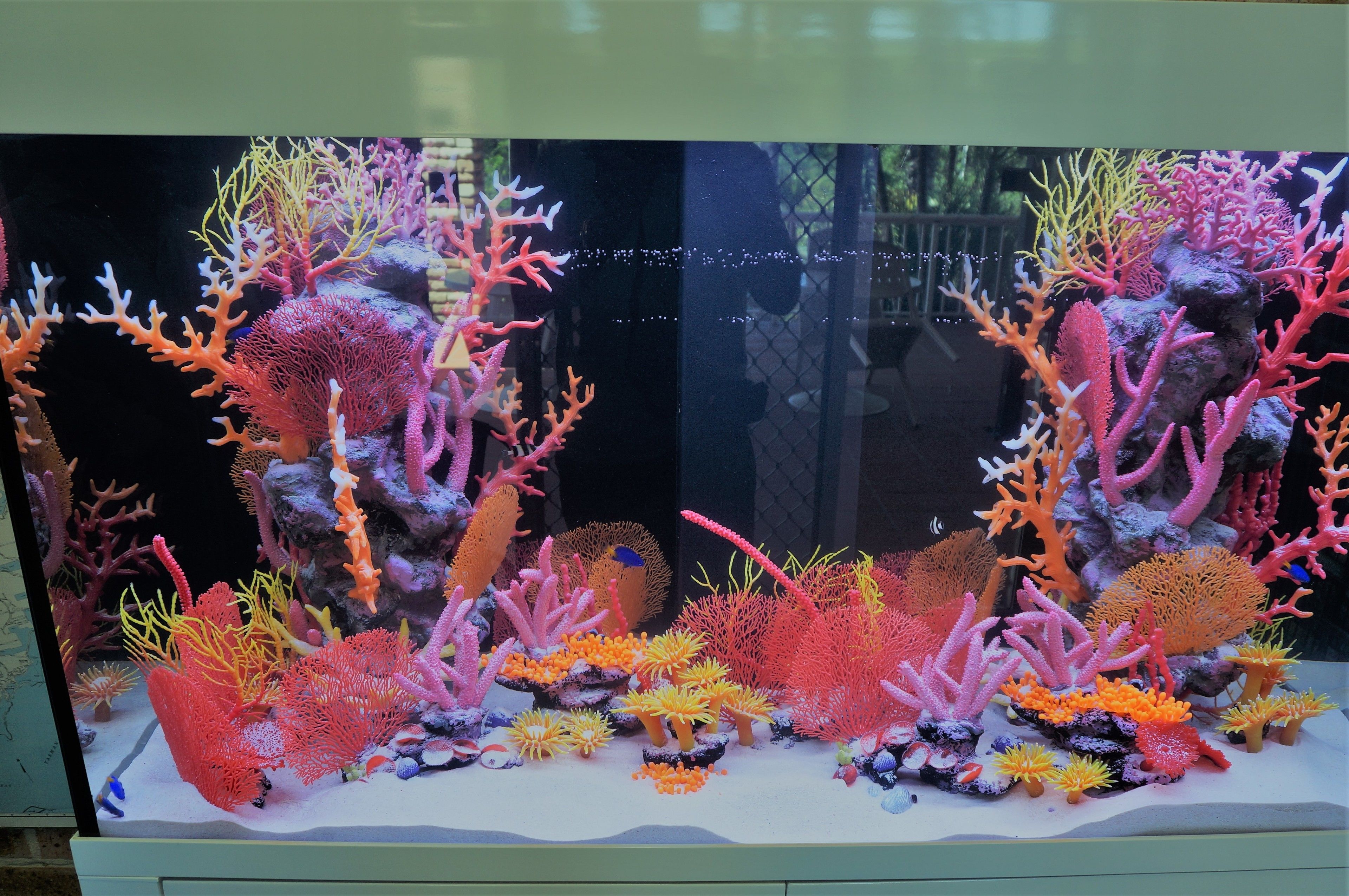 Foto - Gosford Inn Motel