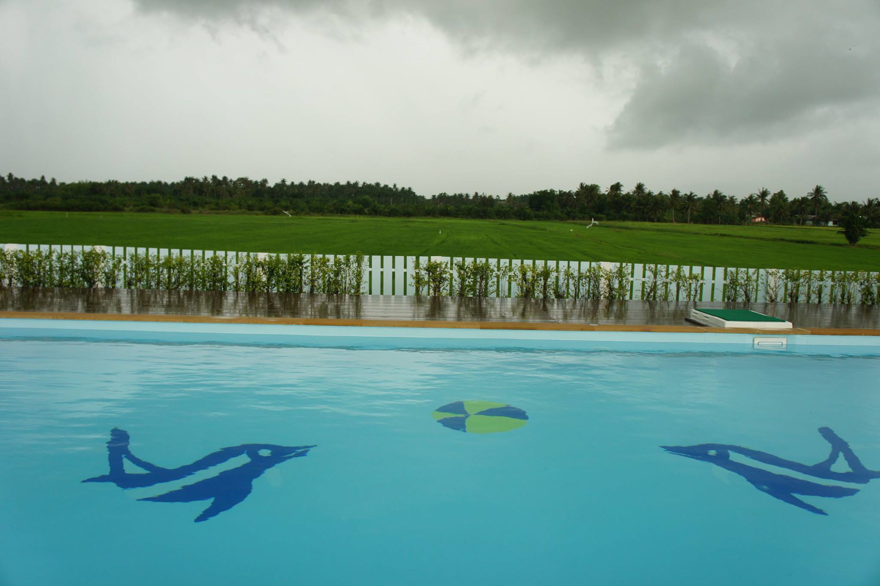 outdoor pool, pool umbrellas, pool loungers