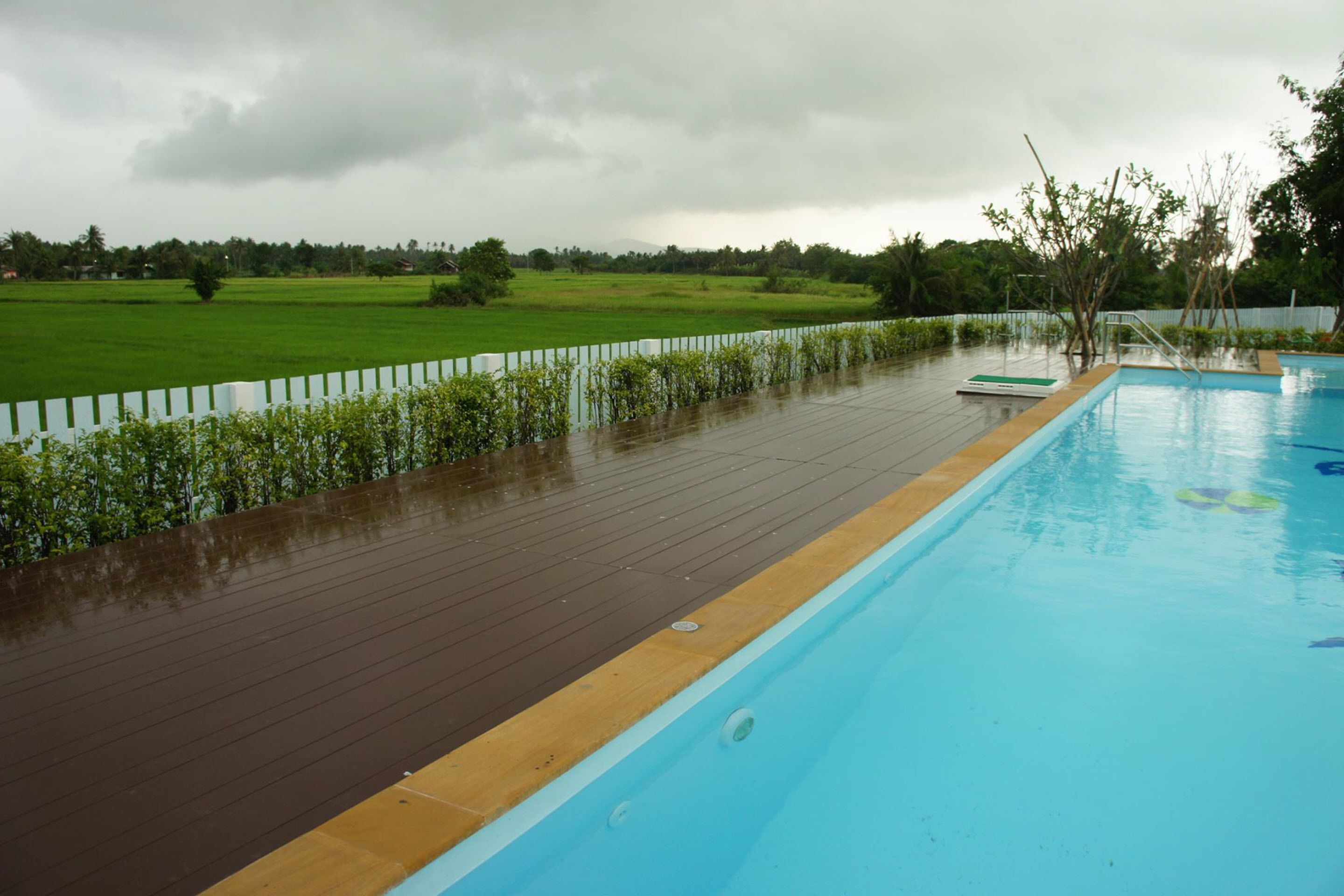 outdoor pool, pool umbrellas, pool loungers