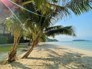 Room Air-Con Beach Front ( 4 persons) | Coin séjour | Télévision à écran plat