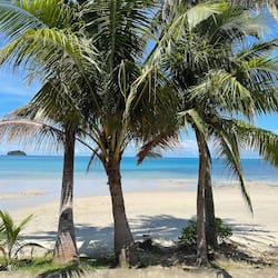 On the beach, beach bar