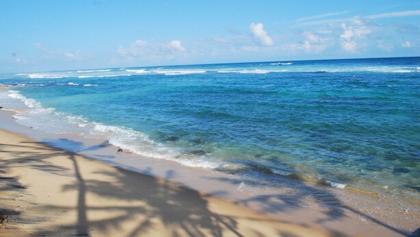 Uma praia com águas azul-claras e uma faixa de areia.