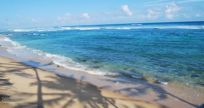 Beach House