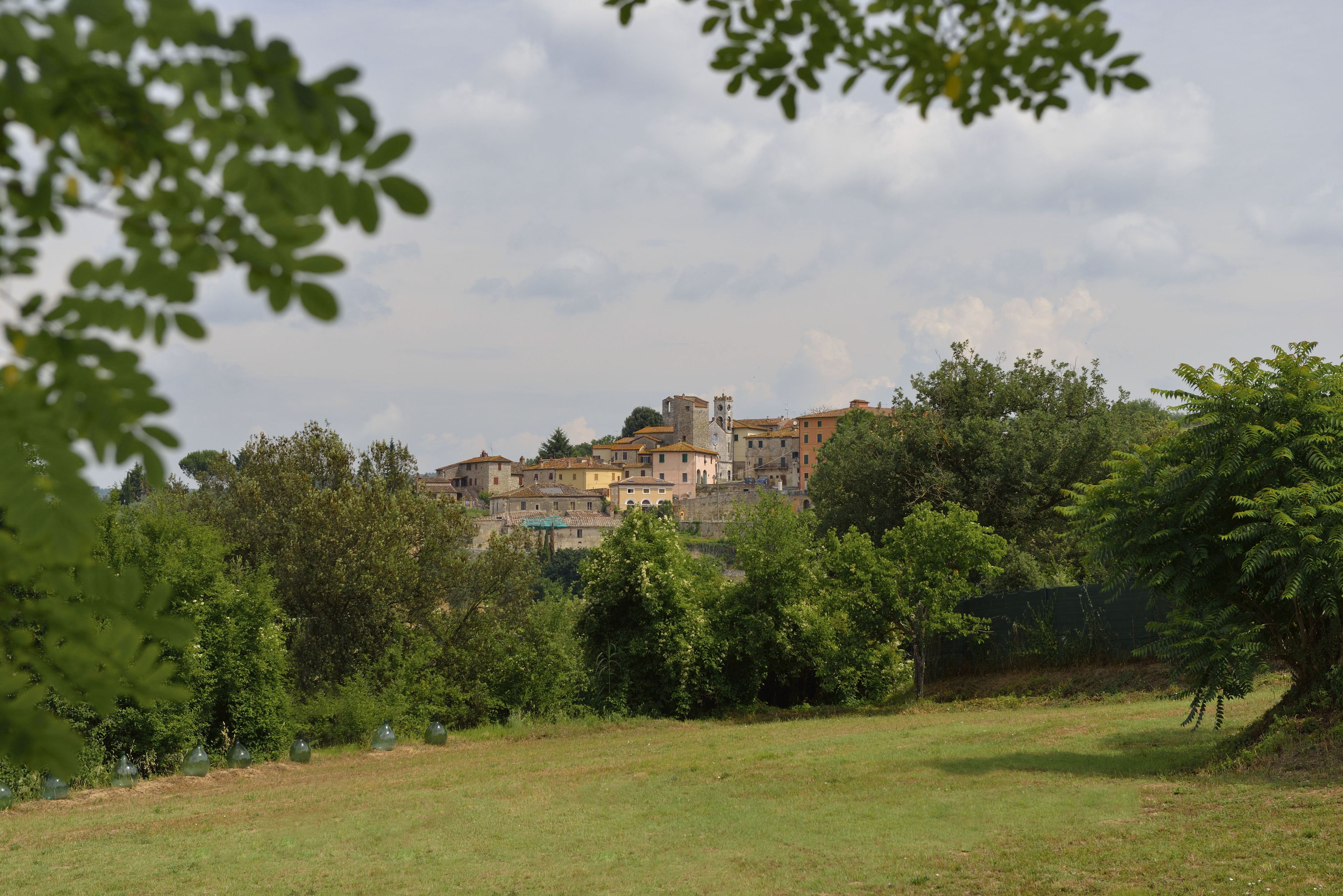 Eine historische Stadt mit traditioneller Architektur, umgeben von üppigem Grün.