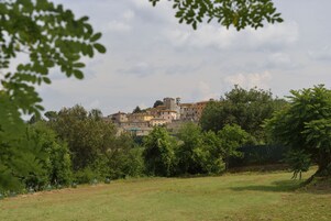 A historic town with traditional architecture, surrounded by lush greenery.