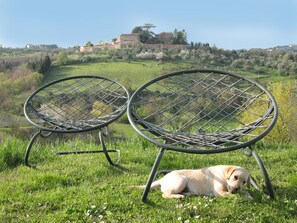 Two metal chairs with a grassy field and a dog in the foreground, and a historic building in the background. - Agriturismo La Torretta (Siena)