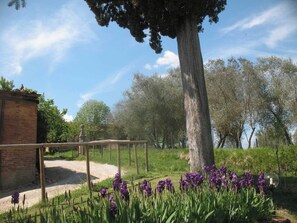 Un camino lleva a un edificio con fachada de ladrillo, rodeado de follaje y flores moradas.