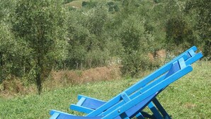 A blue sun lounger in a grassy field with a view of a town in the distance. - Agriturismo La Torretta (Siena)