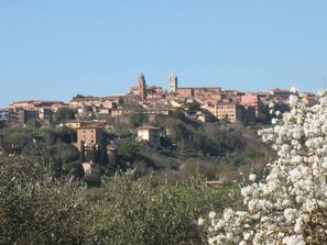 A hillside town with historic buildings, including a prominent church with a bell tower. - Agriturismo La Torretta (Siena)