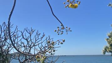 Superior Room, Sea View | View from room
