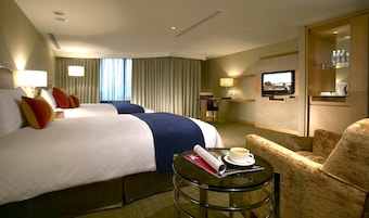 Minibar, escritorio, camas plegables/adicionales y wifi gratis