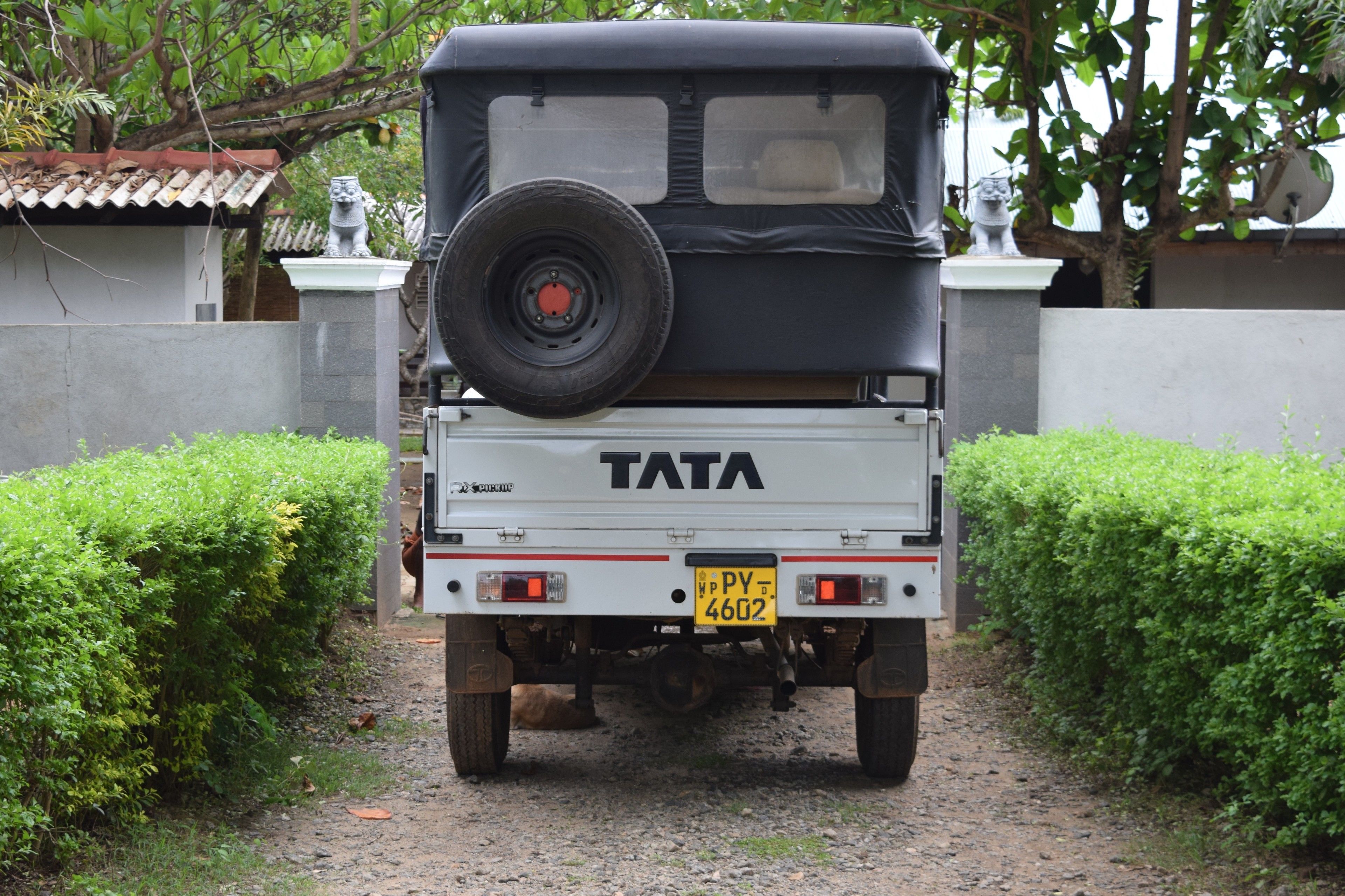 The rear of a white Tata truck parked on a dirt path with a spare tire mounted on the back.