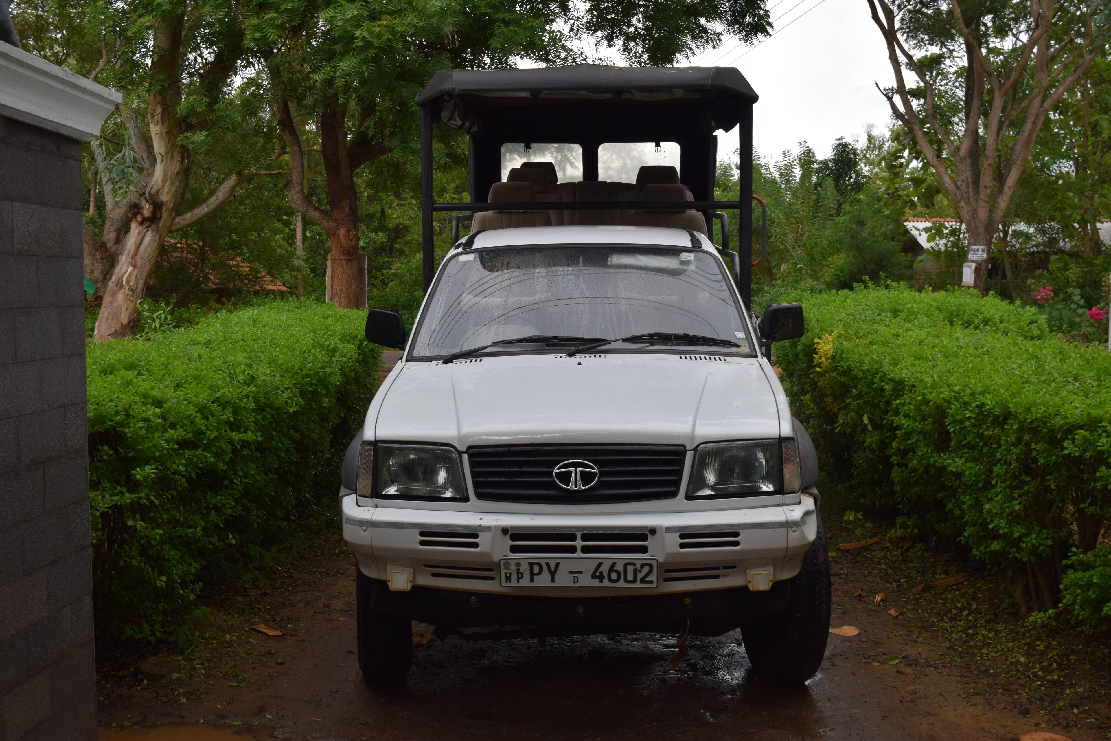 A white SUV parked on a wet road with a roof rack, surrounded by greenery.