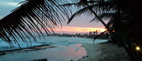 Beach/ocean view