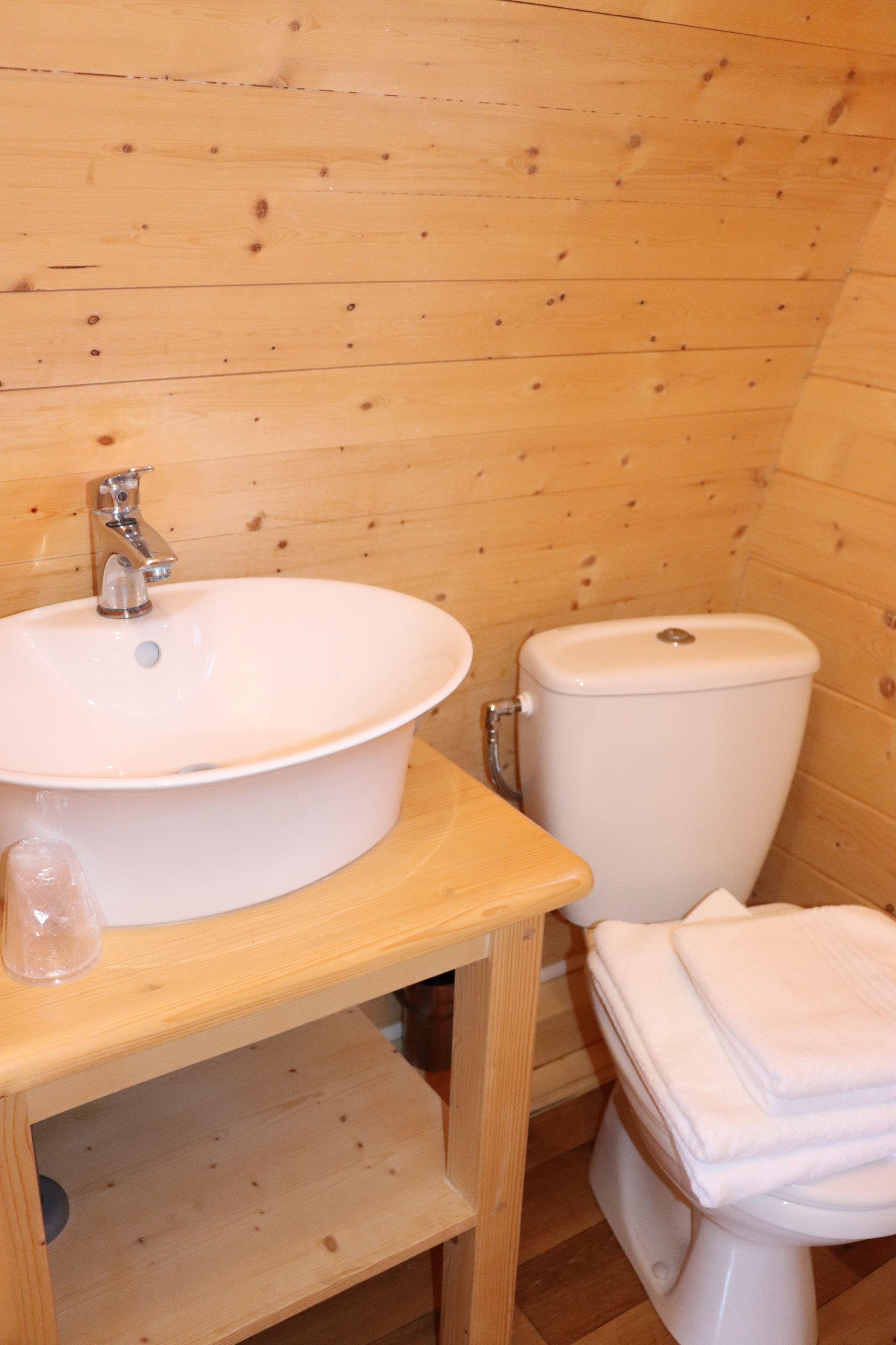 eco-friendly toiletries, hair dryer, towels, soap