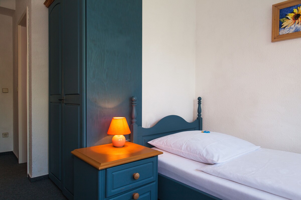 Habitación individual clásica | Minibar, decoración personalizada, escritorio y insonorización 