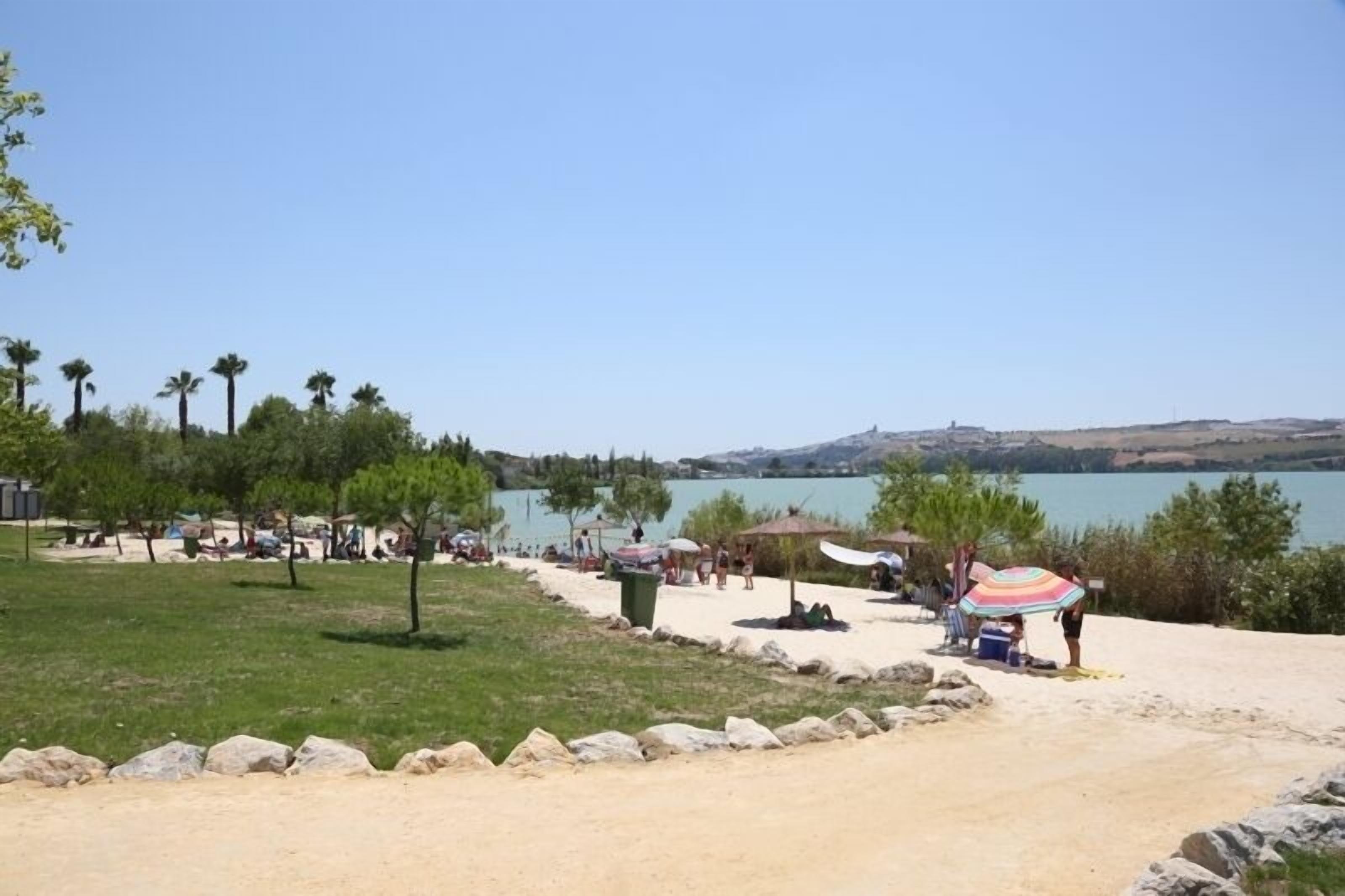 Water skiing, windsurfing, sailing, rowing