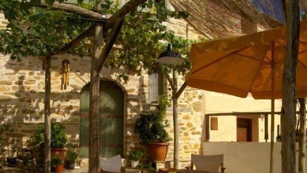 Un área de estar al aire libre de estilo rústico con una mesa y sillas de madera, rodeada de plantas en macetas y un muro de piedra.