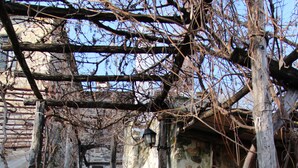 Una escalera de piedra que conduce a un edificio con una pérgola de madera.
