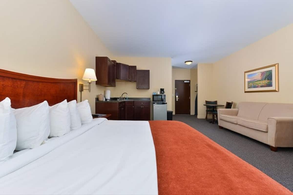 Desk, laptop workspace, blackout curtains, free WiFi