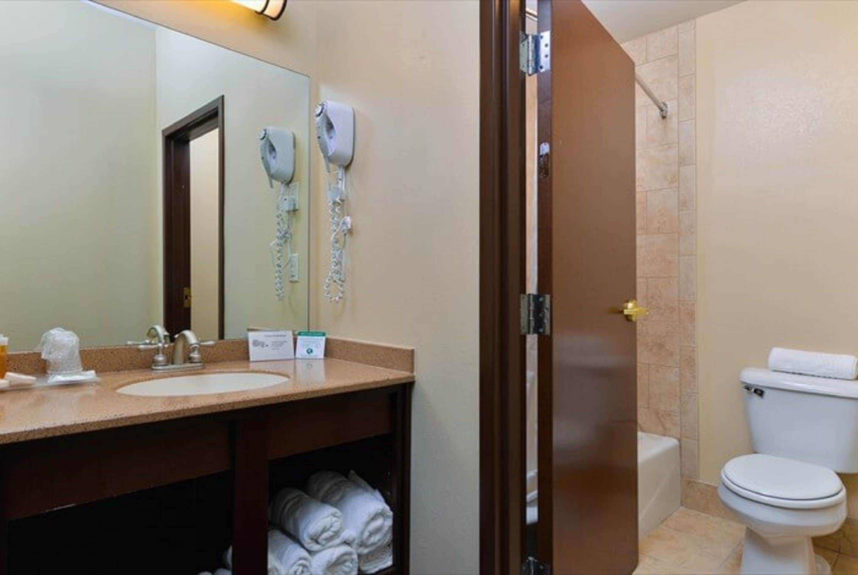 combined shower/bathtub, free toiletries, hair dryer, towels