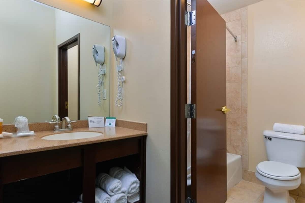 combined shower/bathtub, free toiletries, hair dryer, towels