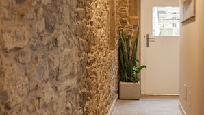A hallway with a stone wall, a potted plant, and a door with a window. - Apartamentos Nova Compostela (Santiago de Compostela)