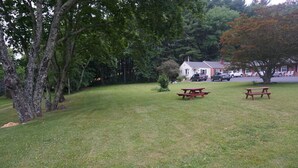 A grassy area with picnic tables and a small building in the background.