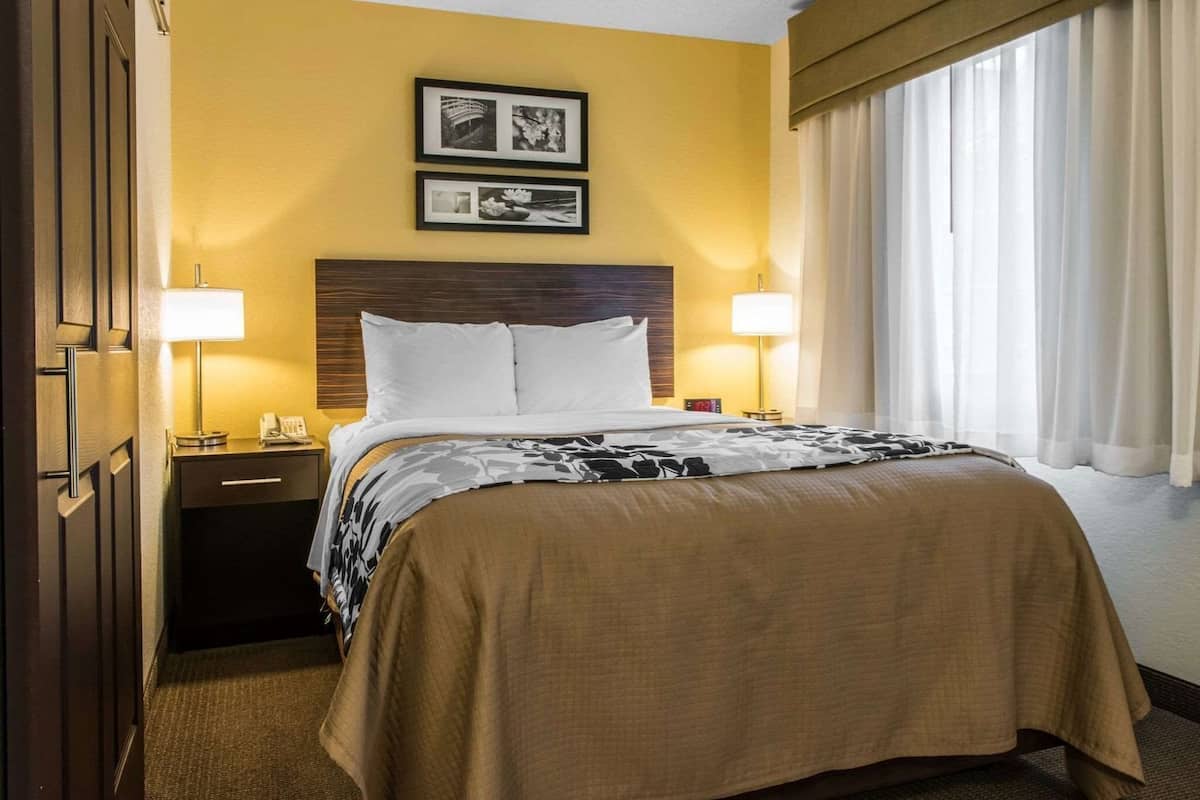 A hotel room with a bed, two bedside lamps, a nightstand, a telephone, and a window with curtains.