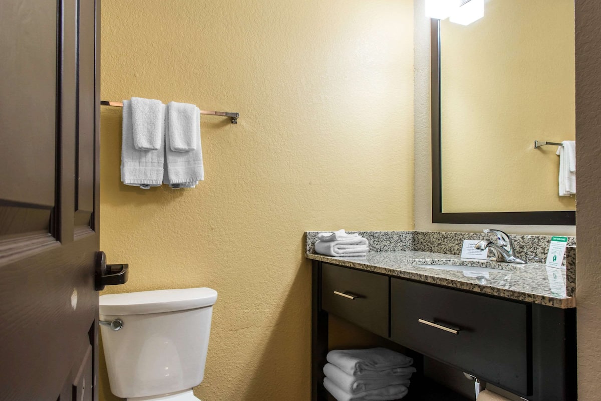A bathroom with a toilet, a sink with a granite countertop, and a mirror above the sink.