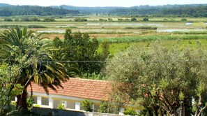 Double Room | View from room