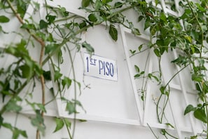 A white wall with a sign reading "1er Piso" and green vines growing around it. - Hostal Pons (Palma de Mallorca)