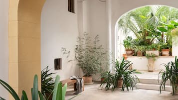 Teres/patio