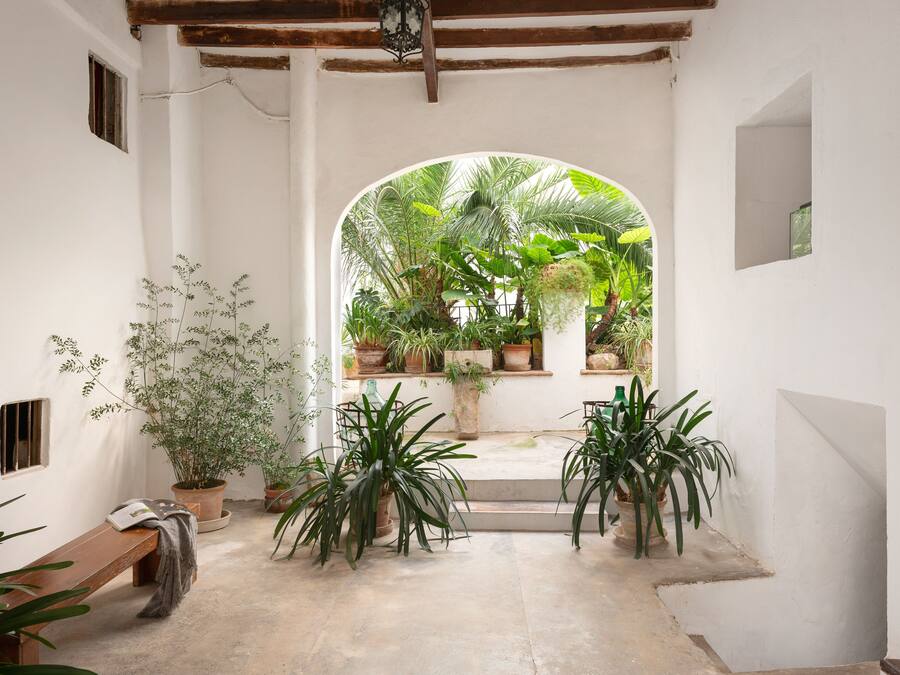 Terraço/pátio