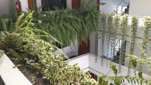 Un balcón con abundante vegetación, incluyendo helechos y enredaderas colgantes, y un extintor de incendios fijado a la pared.