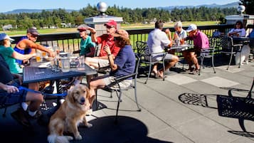 Un grupo de personas sentadas en mesas al aire libre, con un perro en primer plano.