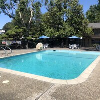 Piscina externa sazonal