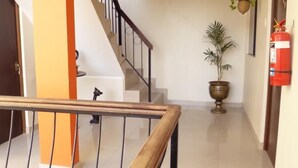 Una escalera con barandilla de madera, una planta en maceta y un extintor en la pared.